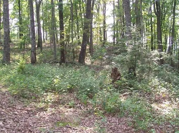 0 Bluff Line Dr, McMinnville, TN 37110