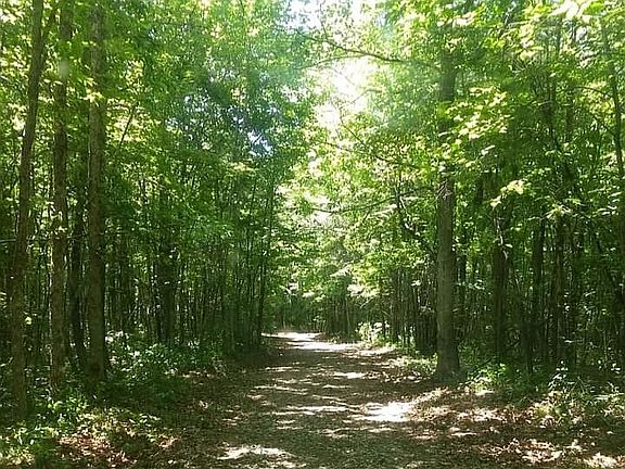 Summer driveway look