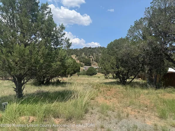 118 Cowboy Ct, Alto, NM 88312