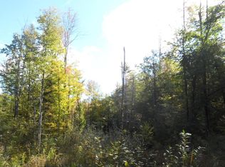 87 Duell Hill Rd, Brant Lake, NY 12815