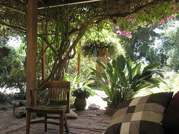 Garden view from front door patio