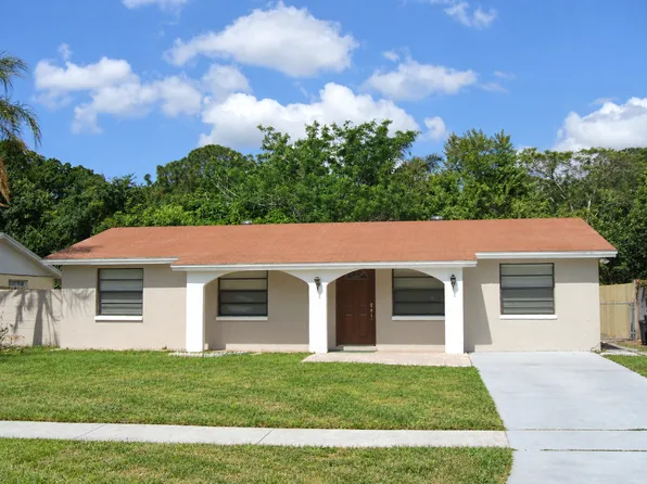 6428 Willow Wood Ln, Tampa, FL 33634
