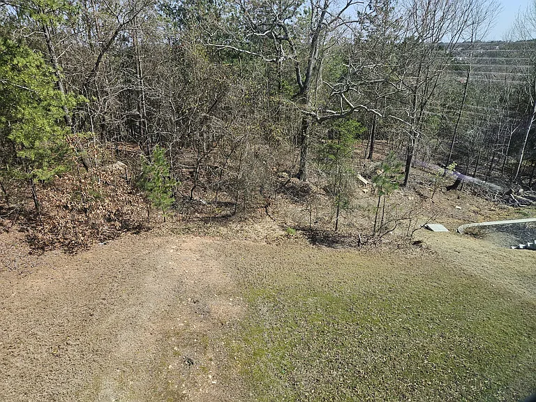 View of backyard from Master bed room