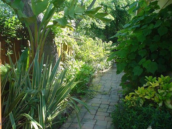Side Yard