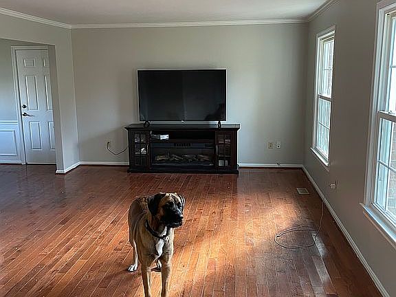 5th image of 660 Eric Ct