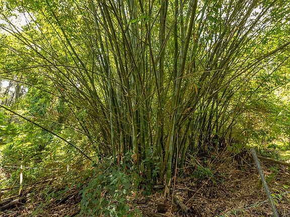 3rd image of 47-4630 Cane Haul Rd