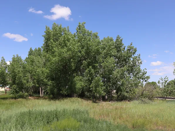 Alfredo Ave, Walsenburg, CO 81089