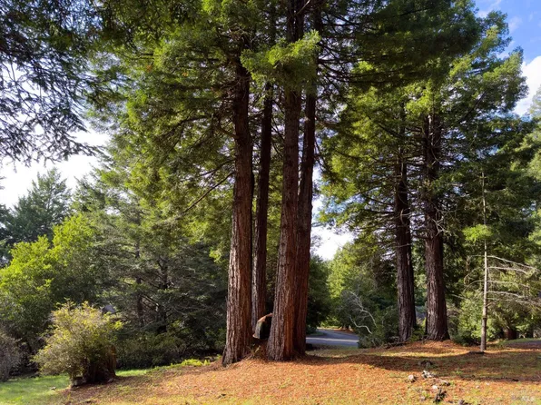 340 Halcyon, The Sea Ranch, CA 95497