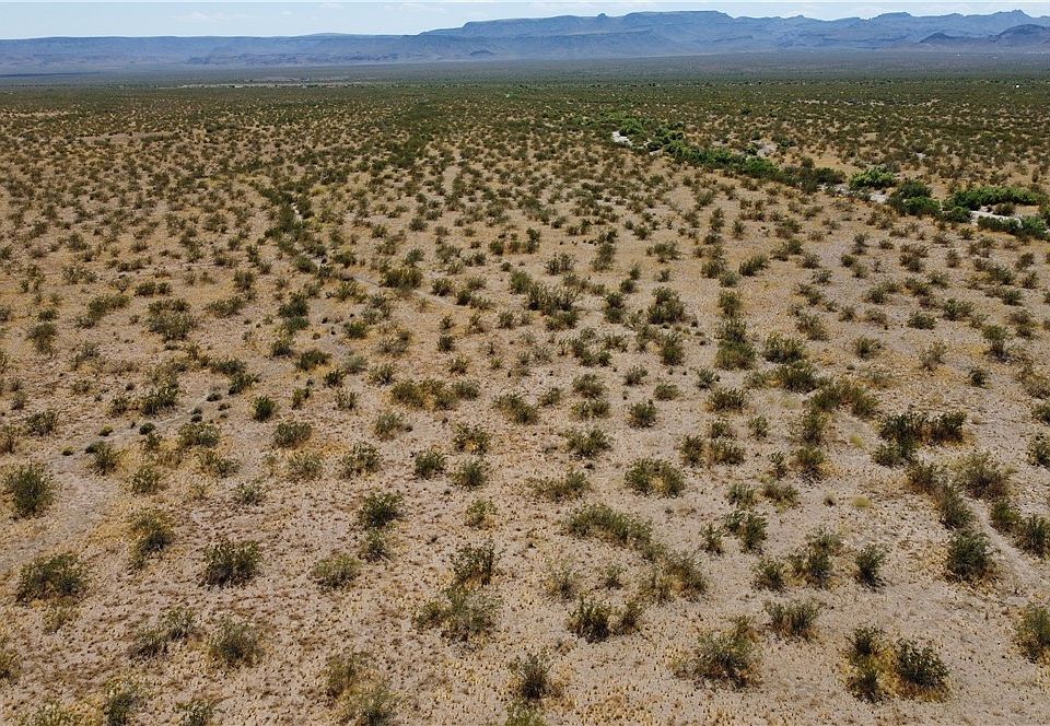1st image of Lot 789 Empress