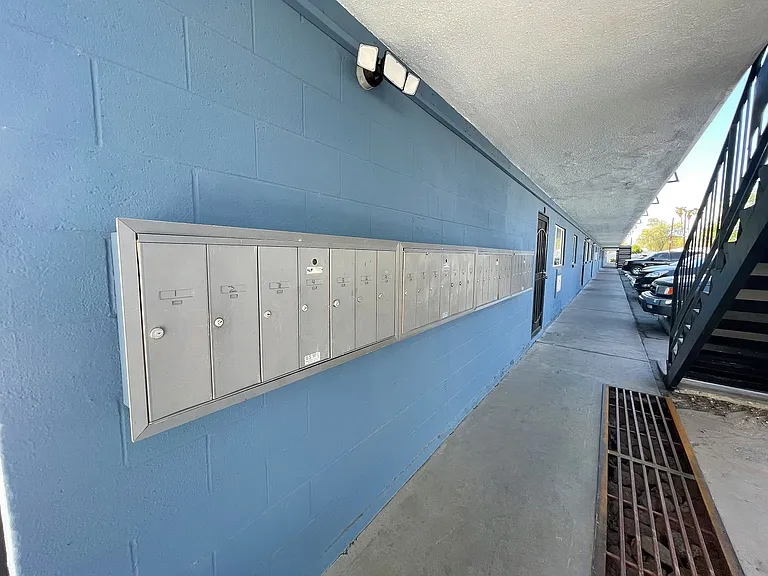 Willetta — Photo 11