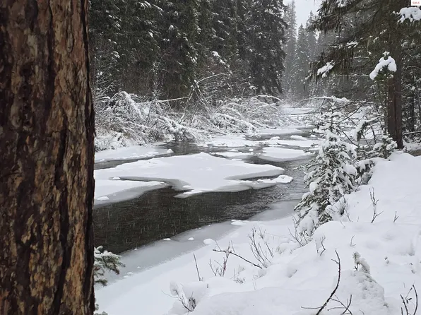 355 Upper Ford Cut Off, Road Yaak, MT 59935