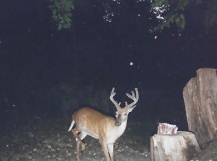 20900 Old Williams Rd SE, Flintstone, MD 21530