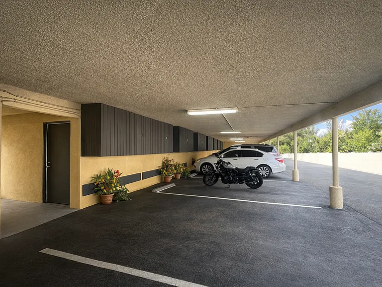Palm Vista Apartments — Photo 7