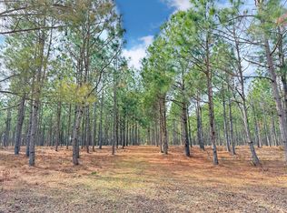 State Highway 9 LOT WP001, Nichols, SC 29581