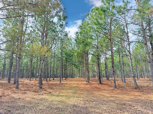 State Highway 9 Lot Wp001, Nichols, SC 29581