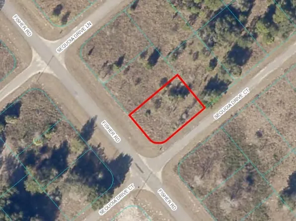 00 FISHER ROAD, OCKLAWAHA, FL 32179