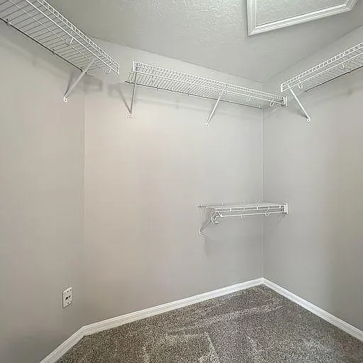 29741 Birds Eye Dr — Photo 24