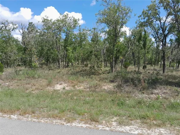 0 NE 13th Ln #12, Williston, FL 32696
