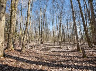 L116b Rossman Valley Rd #1, Summit, NY 12175