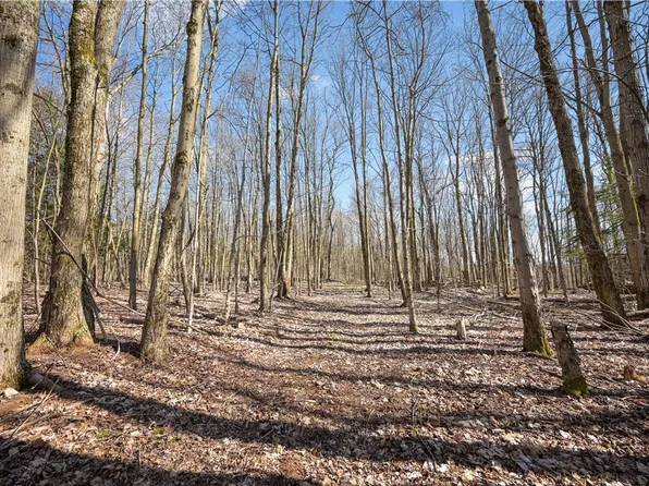 L116b Rossman Valley Rd #1, Summit, NY 12175