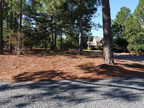 Driveway and UpperFront Yard