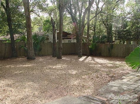 Backyard II