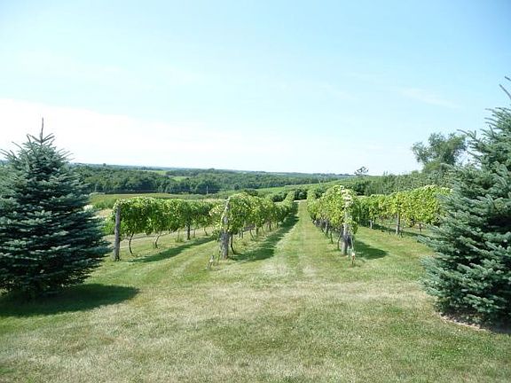 2nd image of N3054 Us Highway 63