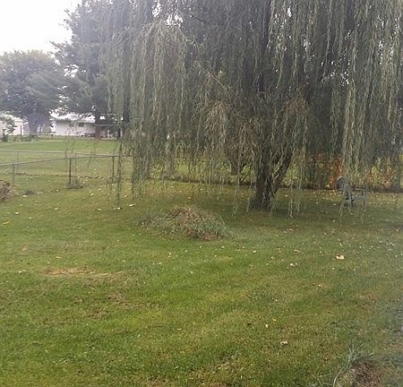2nd image of 2526 Capaldi Dr