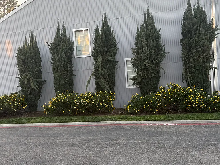 Lily Mar Ln — Photo 5