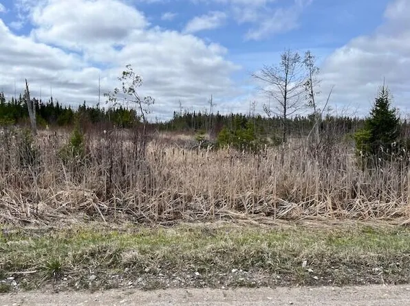 0 County Road 466, Newberry, MI 49868