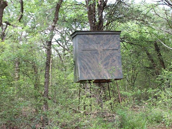 4th image of 5901 County Road 333