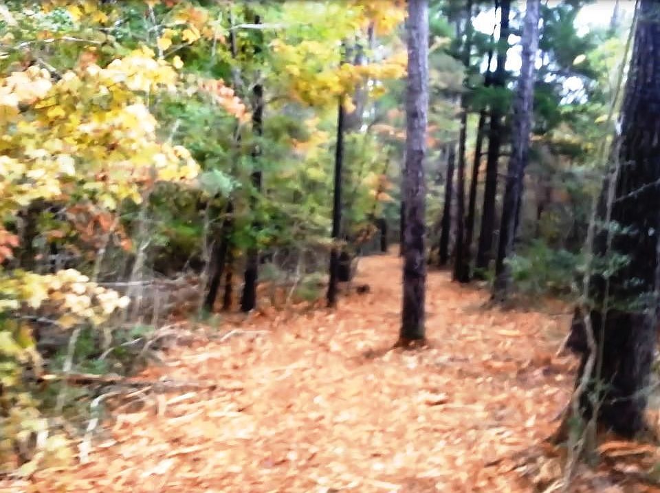 1st image of 83 Acres For Sale