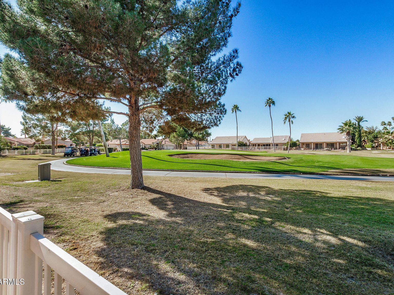 25236 S FLAME TREE Drive
