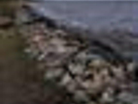 3rd image of 427 Owens Ln #0