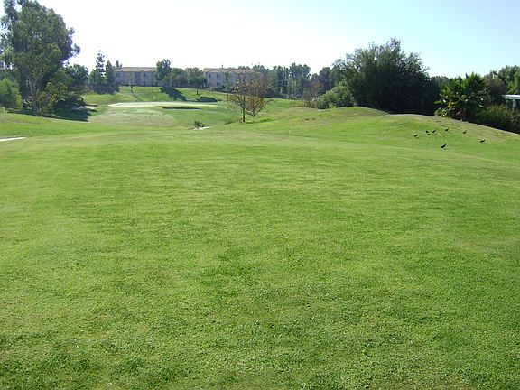 TWO 18 HOLE GOLF COURSES