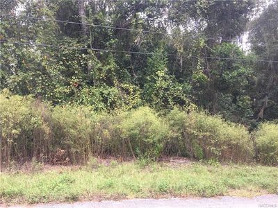 6107 E Noble Ln, Inverness, FL, 34452