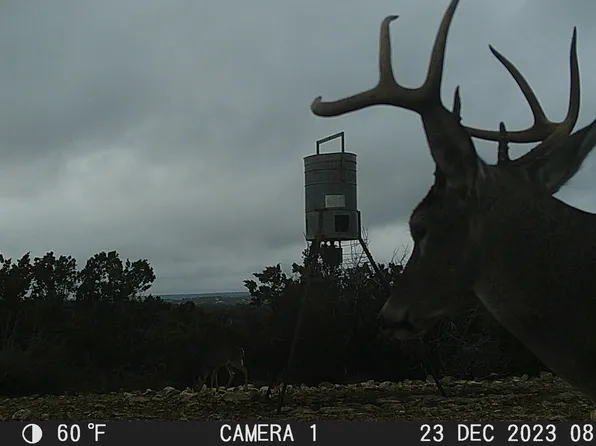 EDWARDS COUNTY West, Rocksprings, TX 78880