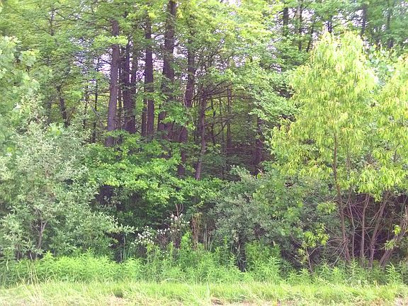 3rd image of Blue Star Hwy