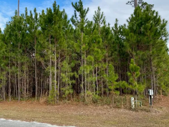 6214 Fox Run Cir, Blackshear, GA 31516