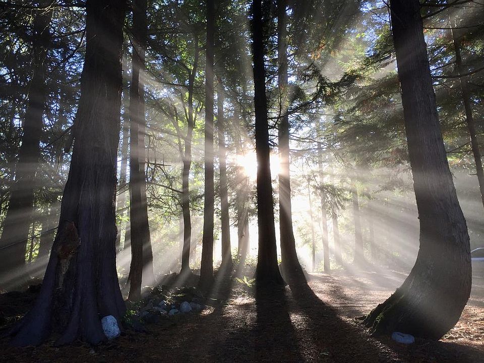 The magic of the Chuckanut! Driveway entrance