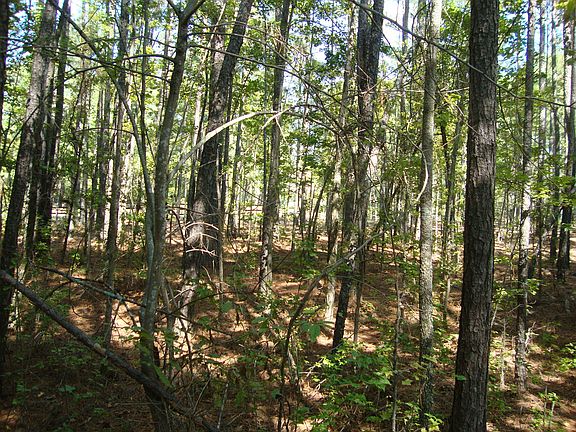 5th image of Tbd Dowd Road LOT 3A