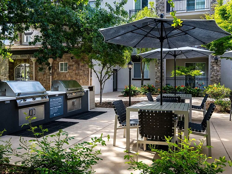 BBQ grills and picnic areas