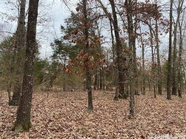 2912 Crescent Dr, Horseshoe Bend, AR 72512