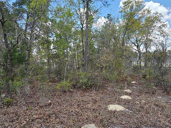 3rd image of SW 139th Place Rd Lot 29