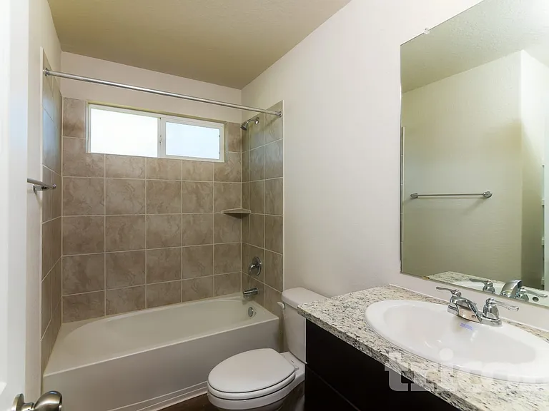 15406 Shortwing — Photo 12