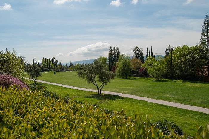 View of golf course
