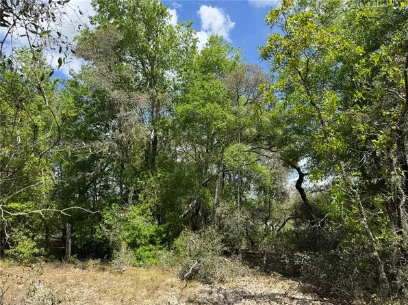 SW Big Bear Rdg #36, Dunnellon, FL 34431