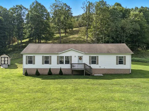 3771 Old Wilderness Rd, Ceres, VA 24318
