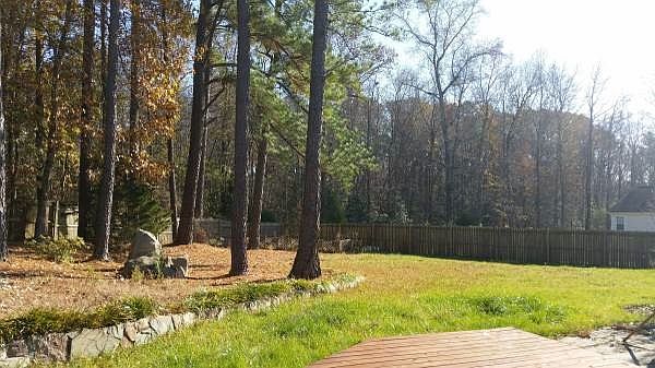 Large fenced in backyard