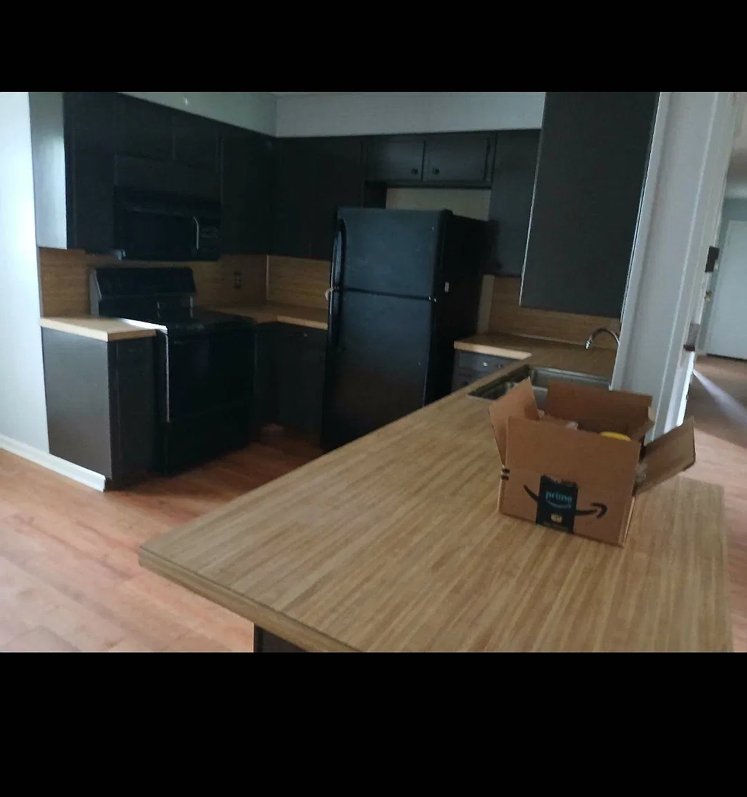 3 bed, 1391 sqft, $1,850 — Photo 3